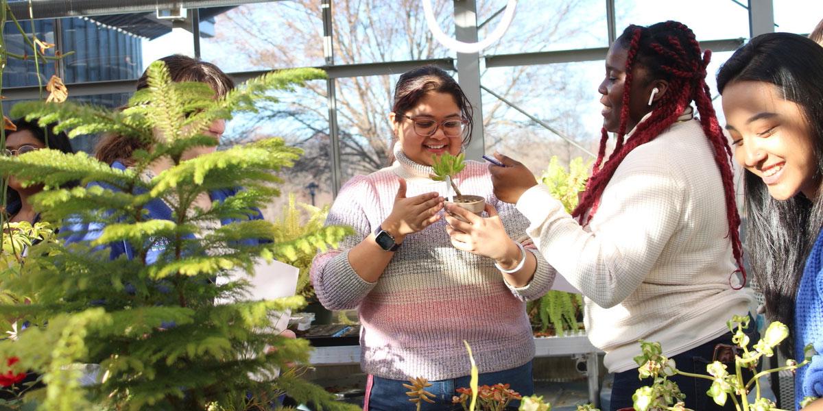 Students in environmental lab.