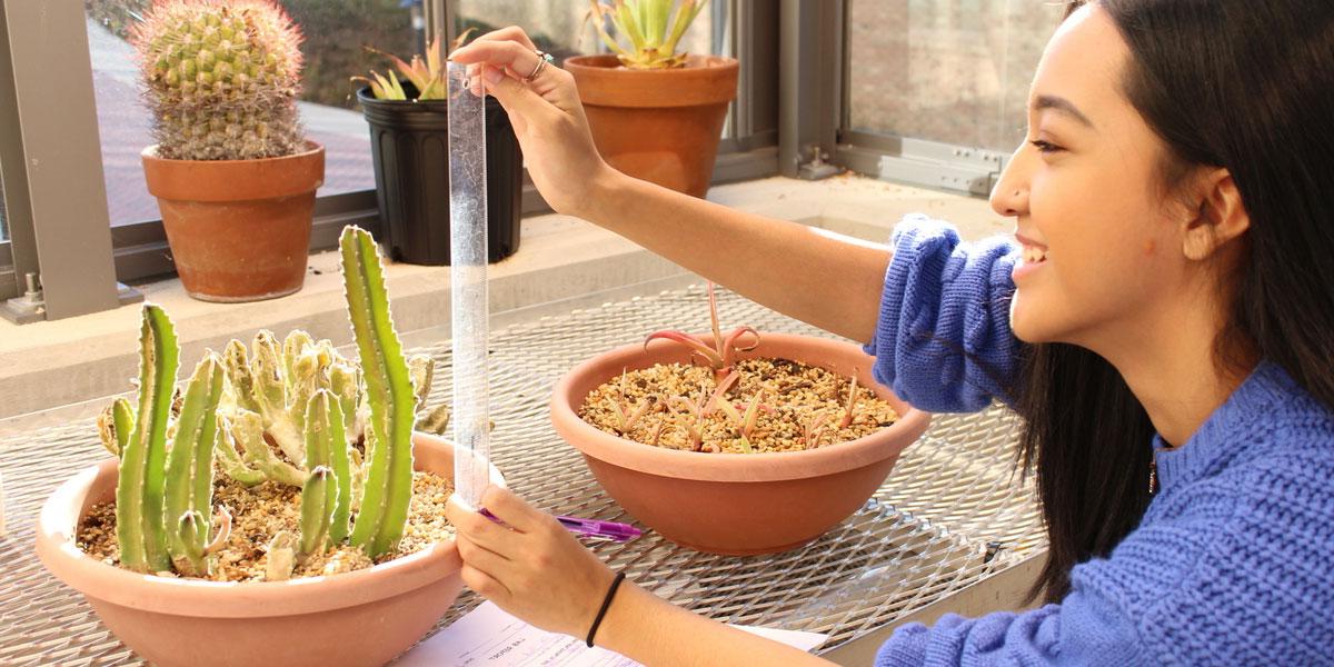 Student testing plants in environmental lab.